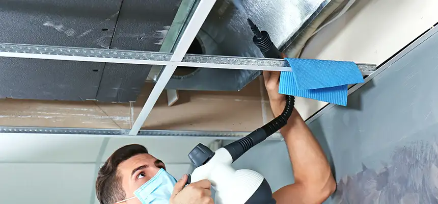 Our Air Duct Rodent Removal Services in Johns Creek, GA