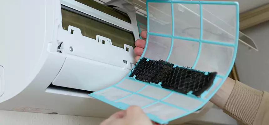 Gentle Ductwork Odor-Control Pet Dander Duct Cleaning in Johns Creek, GA