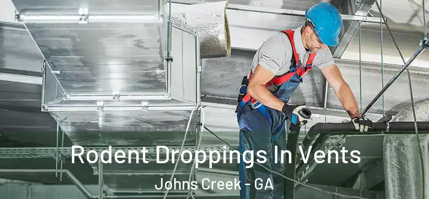  Rodent Droppings In Vents Johns Creek - GA