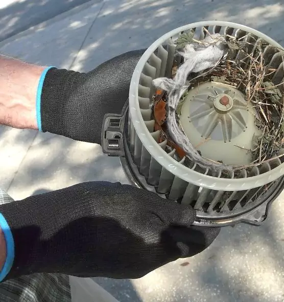 About Air Duct Mice Removal in Johns Creek, GA