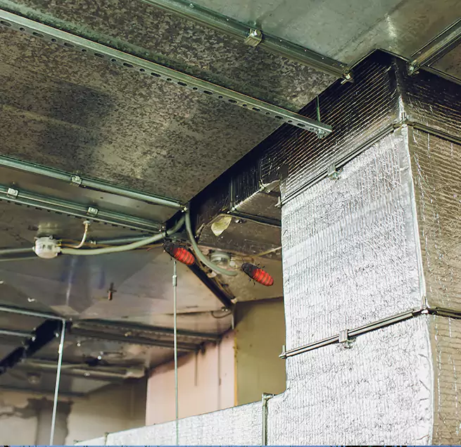 Why Homeowners & Businesses Trust Us in Johns Creek, GA?