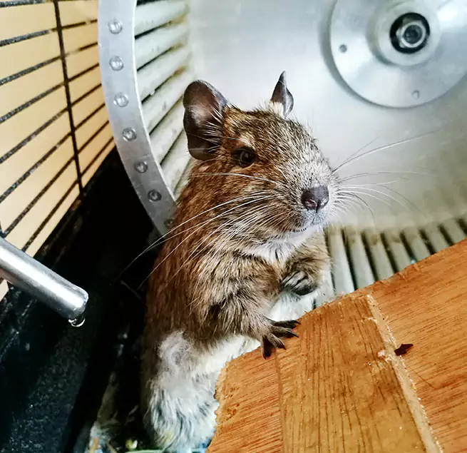 Why Homeowners & Businesses Trust Us Johns Creek, GA